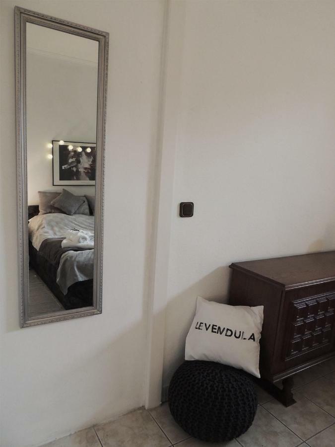 Levendula Vendeghaz Hotel Borsodivanka Ngoại thất bức ảnh